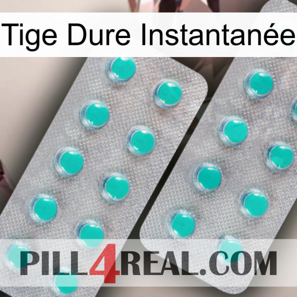Tige Dure Instantanée 29